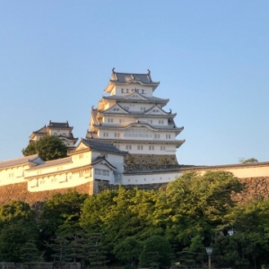 京都のサプライズ 姫路城