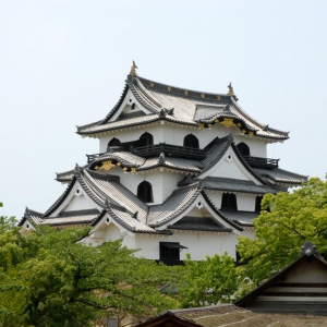京都のサプライズ 彦根城