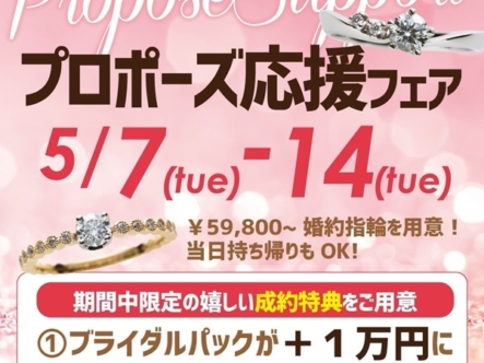 京都　プロポーズ