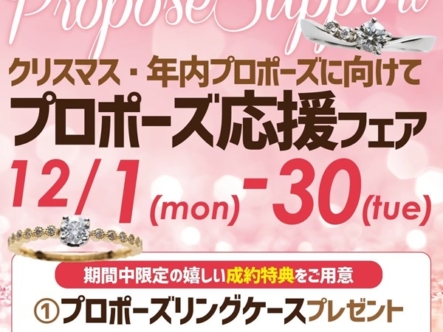 プロポーズ応援フェア12月